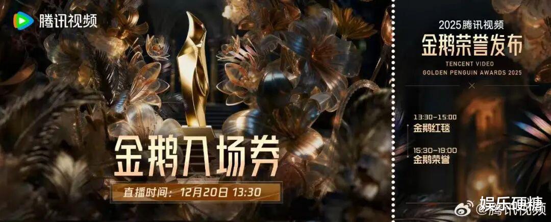 2025，谁在为国剧造浪？