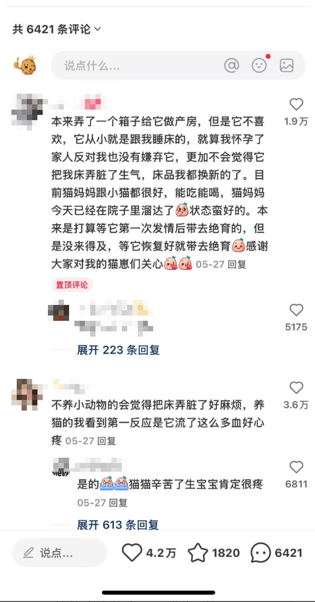 出海賺美金｜復盤1篇帖子5000karma經驗，與AiReddit插件發布