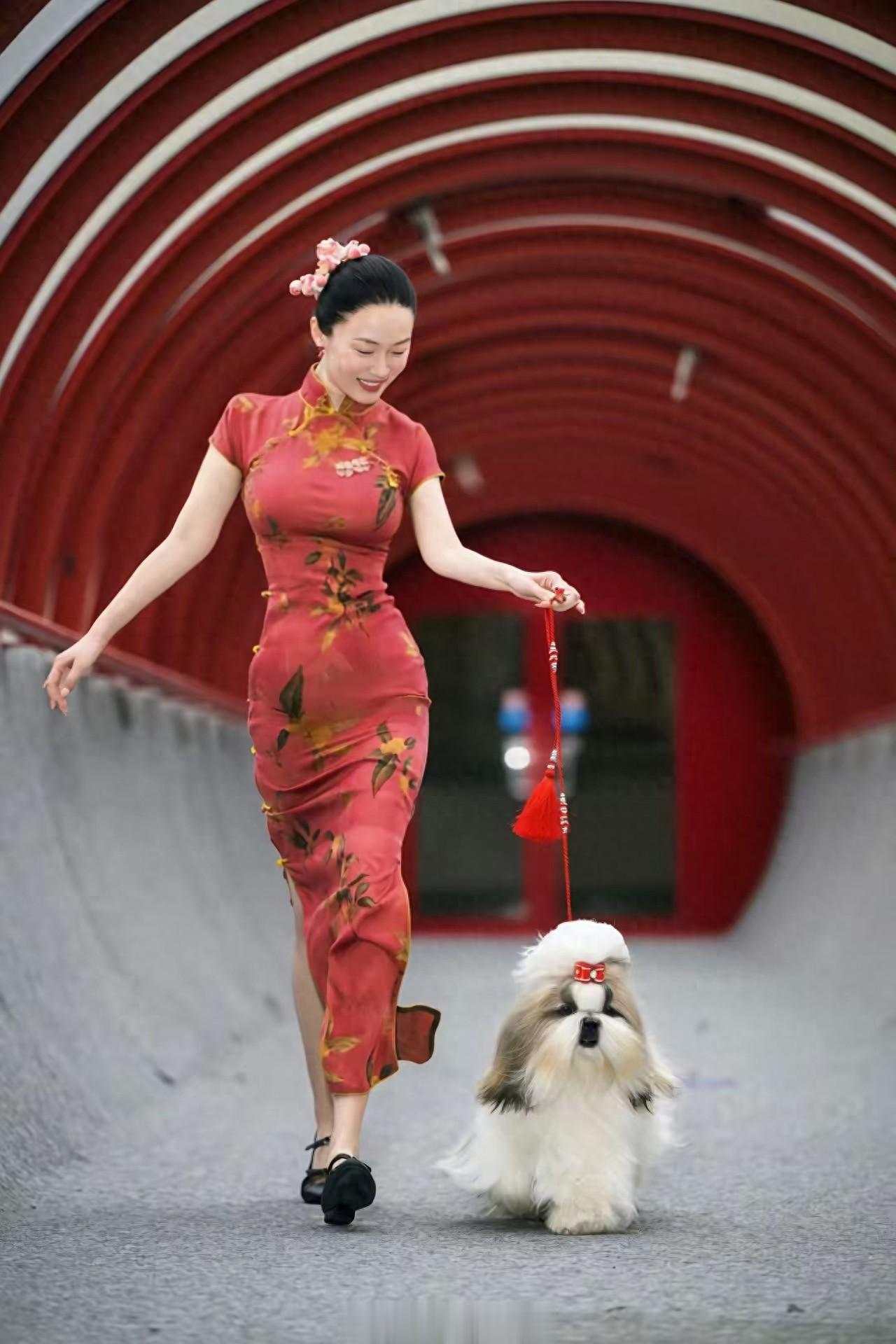 霍思燕身穿红旗袍惊艳欧洲！带爱犬为国夺冠，唯一的中国队