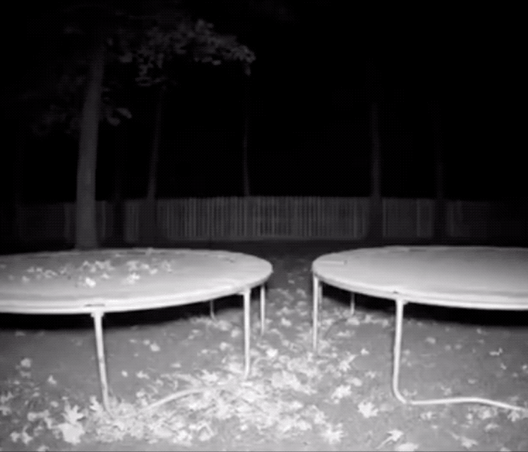 這個5億播放的AI視頻，邪乎得平平無奇