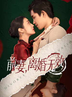 前妻，离婚无效