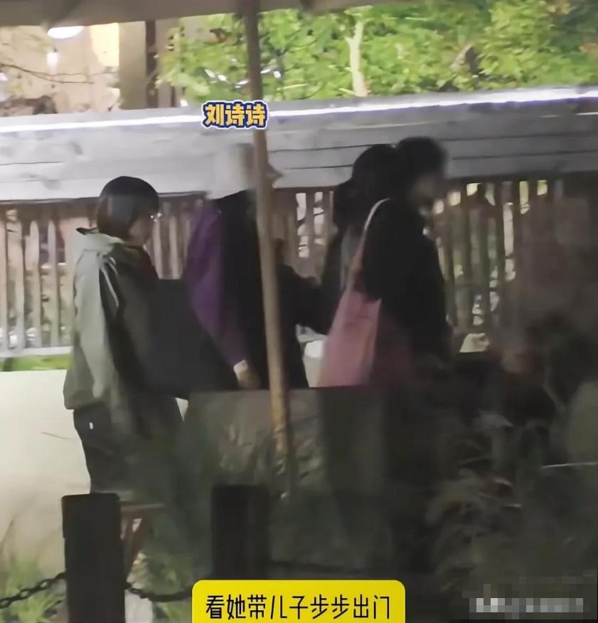 刘诗诗带儿子出来玩!6岁步步不回家被妈狂追扛上车,心疼吴奇隆