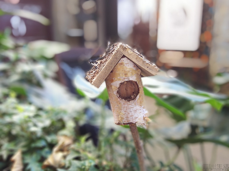 从“帮你拍”到“教你拍”,会是AI相机的正确方向吗