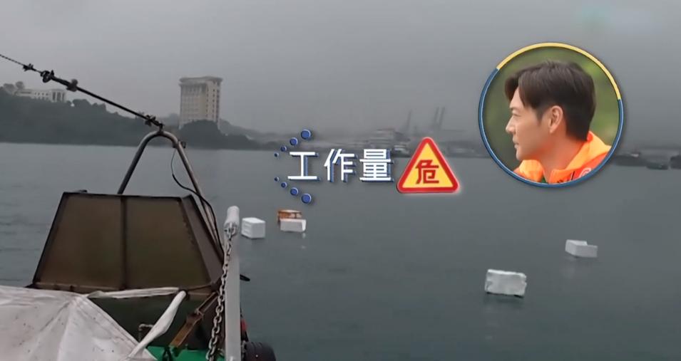 想抄这综艺?吓跑99%内娱明星