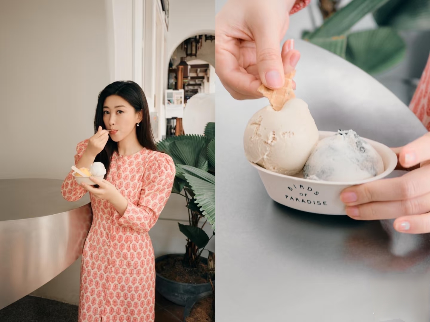 朱珠分享一家三口新加坡游玩美照，好温馨幸福