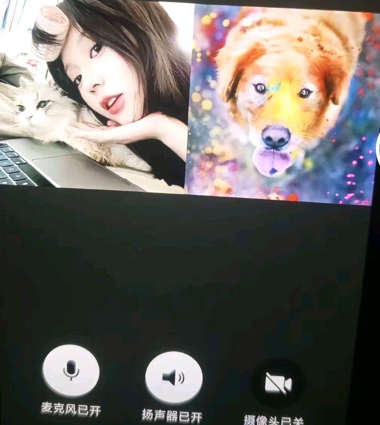 杨二狗即将三婚，要去四川拜见丈母娘