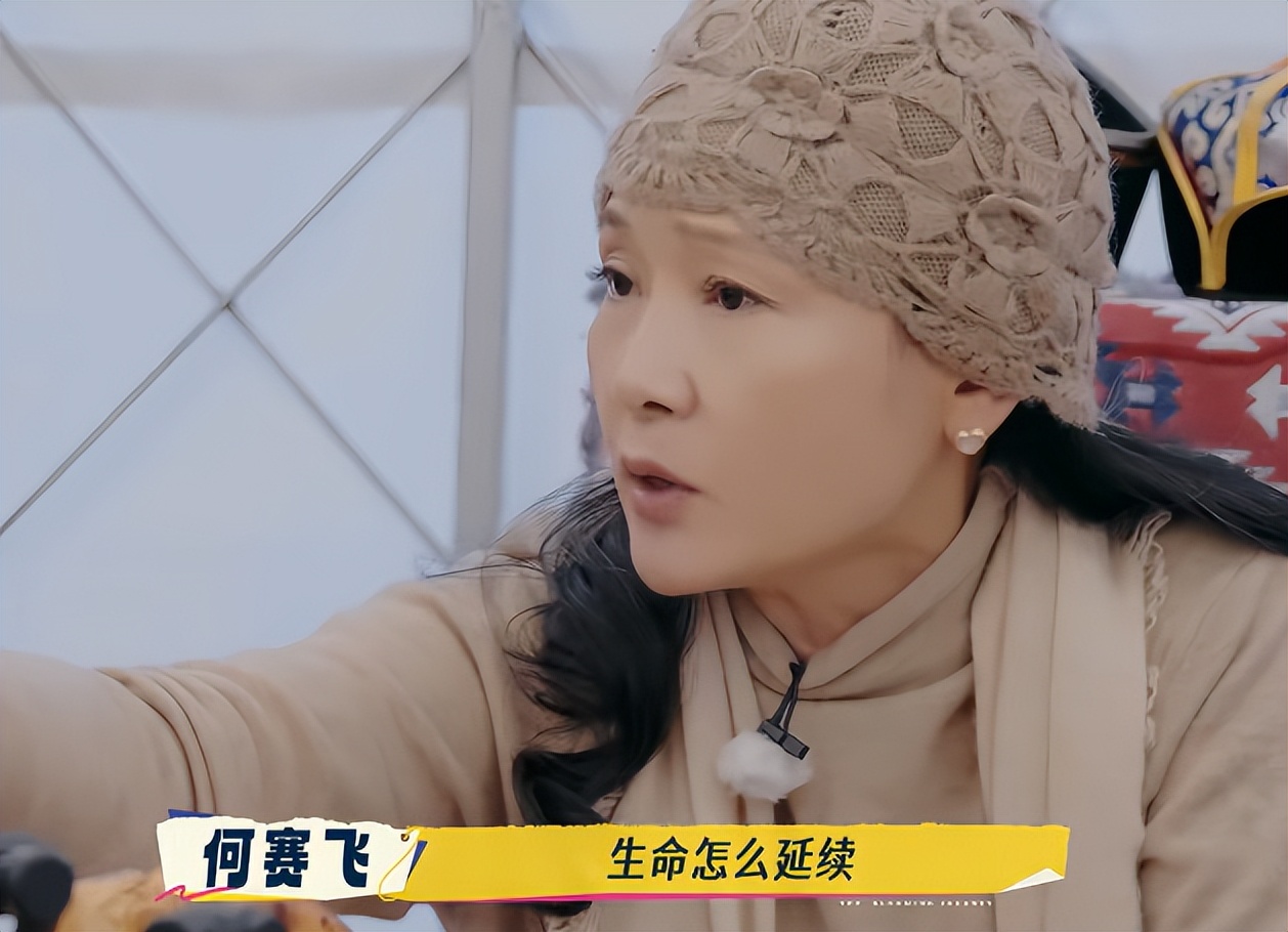 综艺毁人？被低估的何赛飞，给了多少“跨界演员”一记耳光