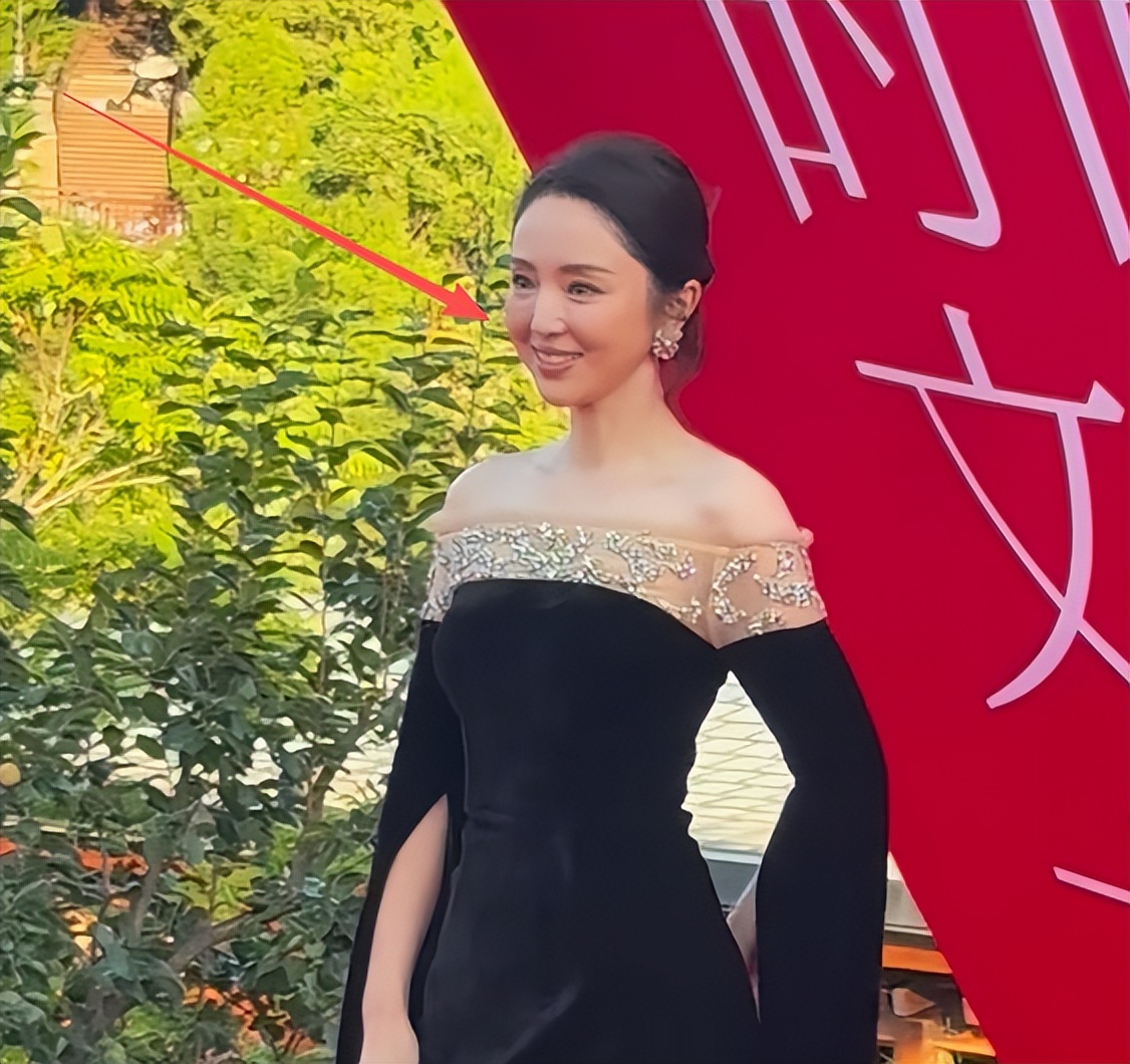 北京红毯:董璇脸肿皱纹多,董洁像微商女,佟大为老婆发福好明显