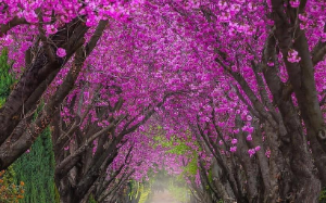 亲弟弟设局让我顶罪，送我入狱