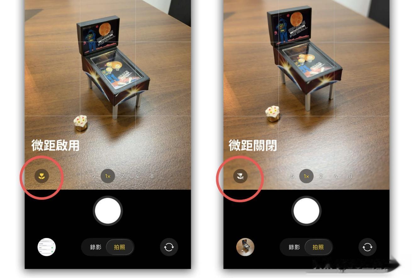iPhone 17 拍照小花圖示揭秘：學會這招，微距大片隨手拍