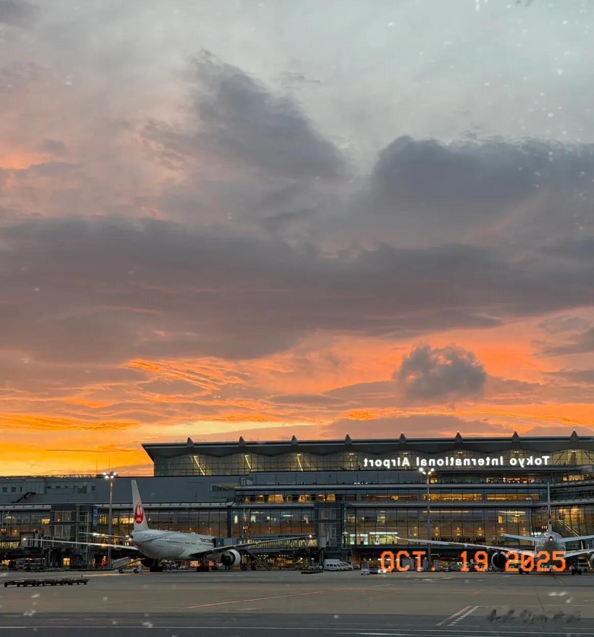 鹿晗现身日本机场被偶遇，拿着手机拍夕阳，穿搭时尚，少年感十足