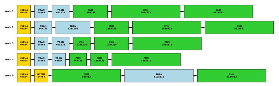 華人團隊打造生物AI架構師，助力生物AI更懂生命語言
