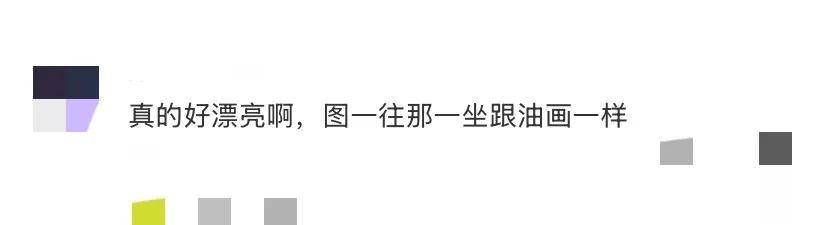 马龙夏露一家迪拜被偶遇，两个儿子又穿同款，夏露素颜也特别好看