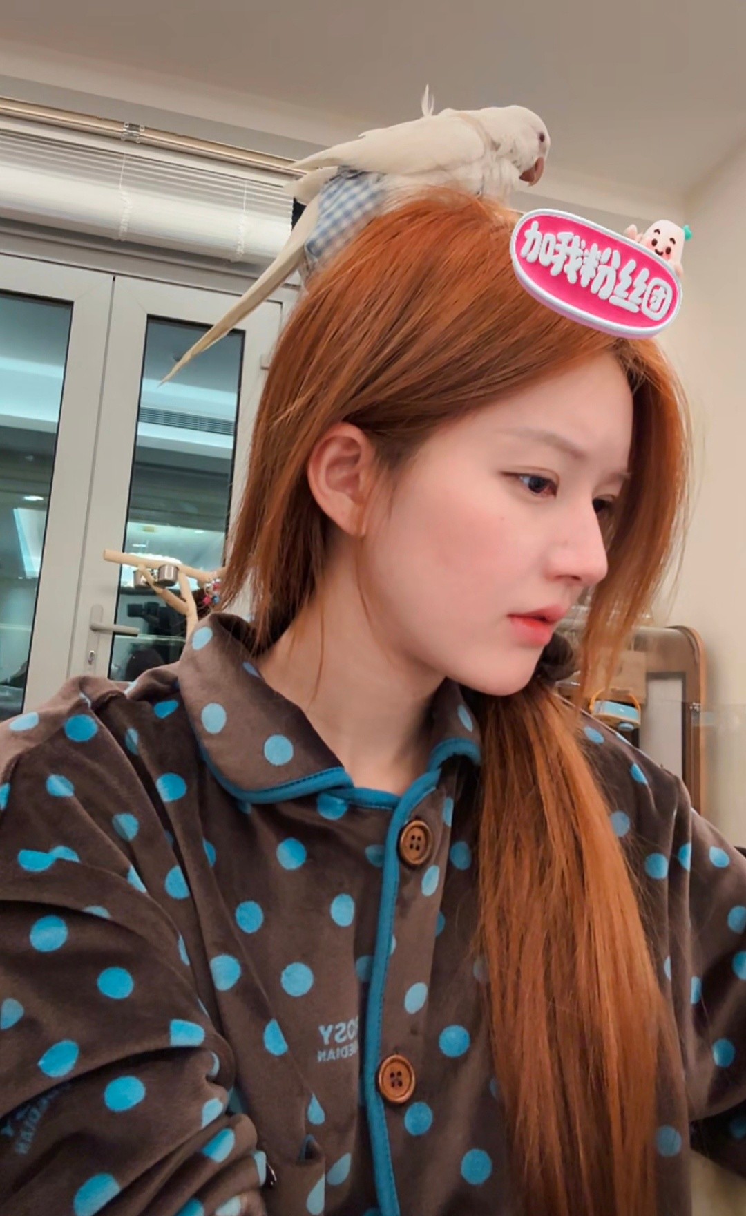 赵露思 直播状态好漂亮一张脸