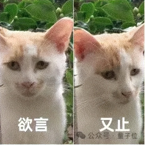 打工15年，被大廠裁4次了