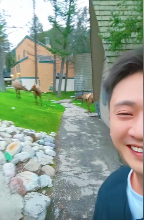 摊事了！央视主持人海外游，带妻女高调炫耀海外生活，被网友骂惨