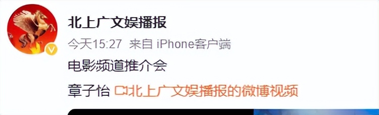 电影之夜太真实！章子怡脸肿又僵，马丽穿深V，秦海璐小肚腩抢镜