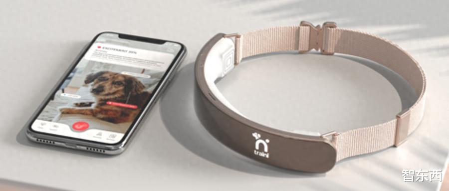 超5000萬！寵物情感AI創企獲新融資，華人創辦，要做寵物行為“翻譯”項圈