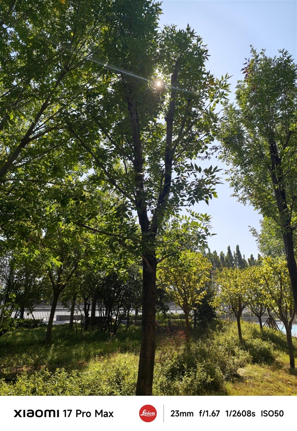 小米17 Pro Max評測：五年高端之路的集大成者