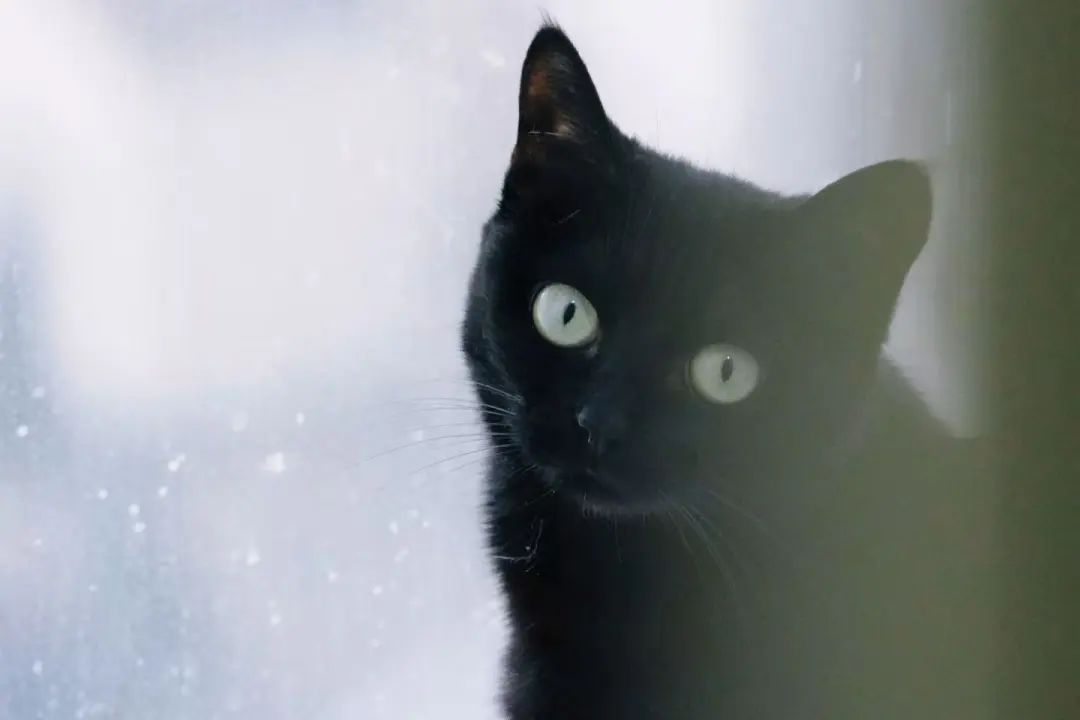 谷歌認領最強AI版Photoshop，現在人人可用，效果確實強悍