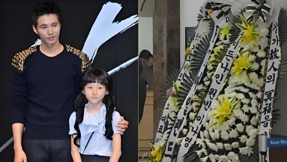 金赛纶事件反思：元彬的善举和车仁表19年前的台词，为何引发网友共鸣？