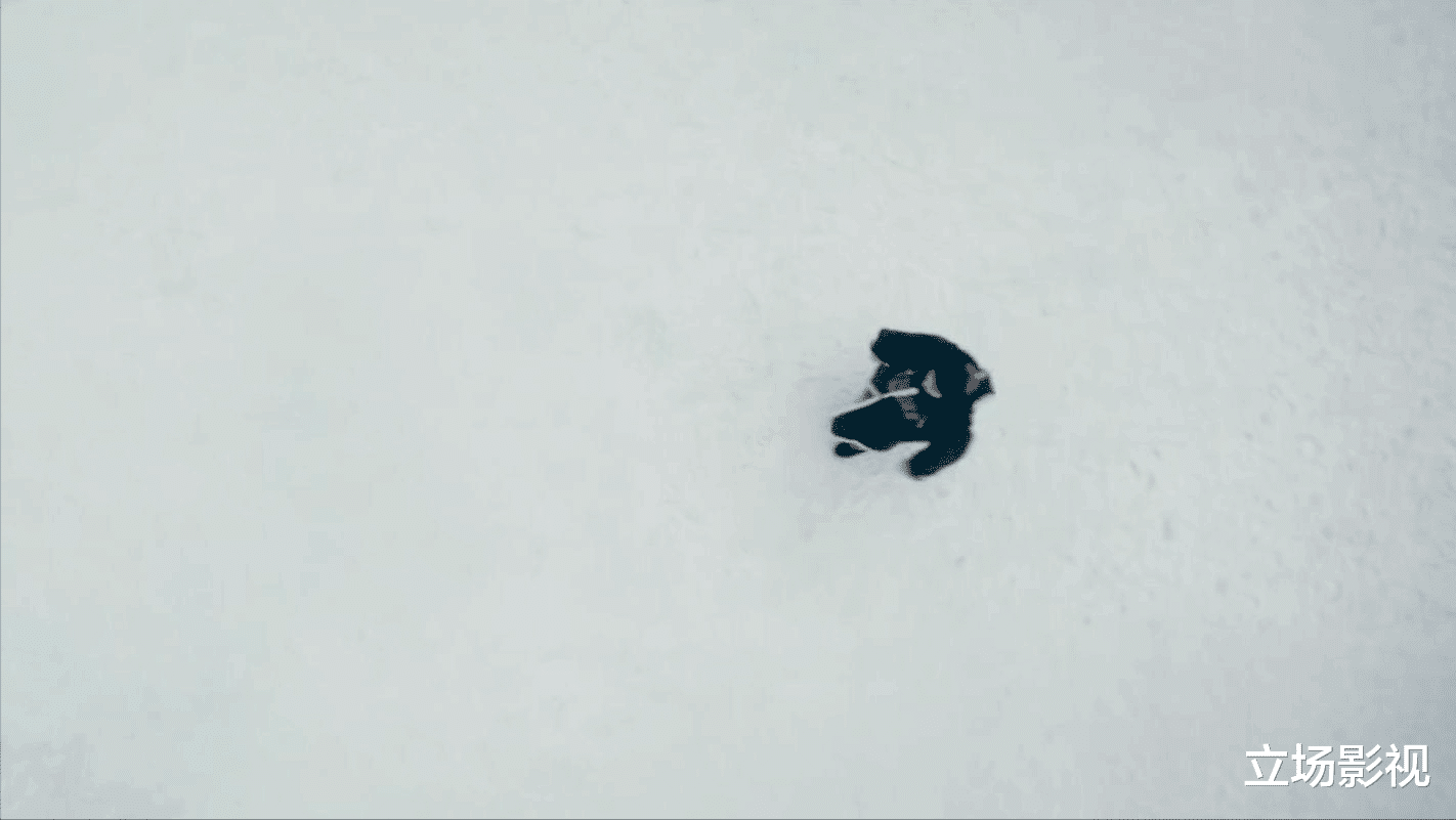 又一部40集历史大剧开播!看完介绍,不吹不黑,这剧真的要火了