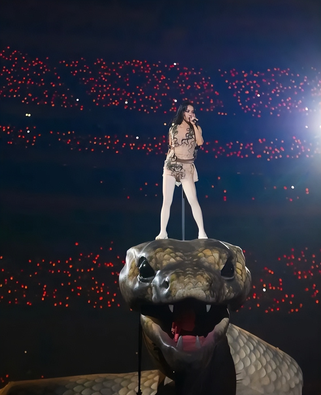 立场模糊、央视除名，这一次，谁也救不了“崇洋媚外”的蔡依林！