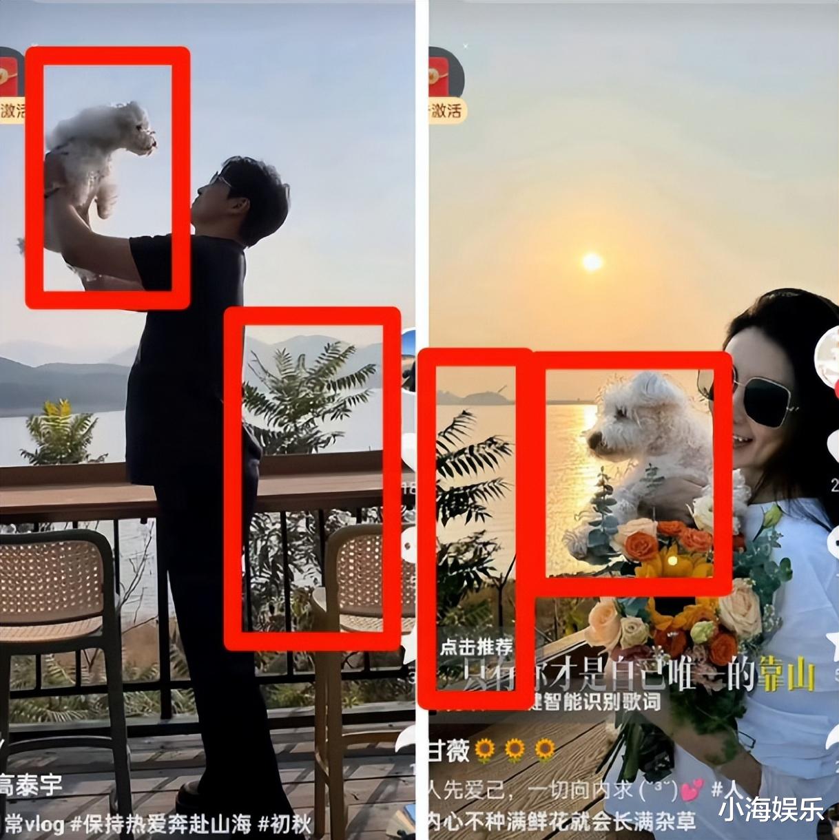 被卷入于朦胧风波后首现身!高泰宇和甘薇小区遛狗,坐实恋情传闻