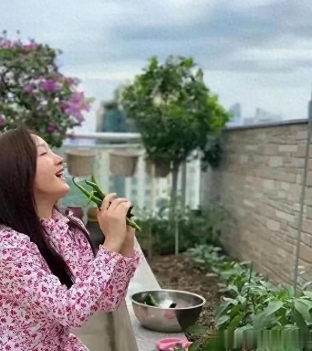 53岁杨钰莹晚年生活!无儿无女在豪宅孤独无望,种菜养花与狗相伴 ???