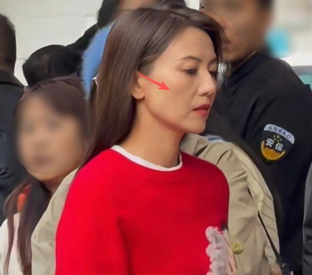 46岁高圆圆原相机生图曝光！面部松弛法令纹明显，自然老去获赞