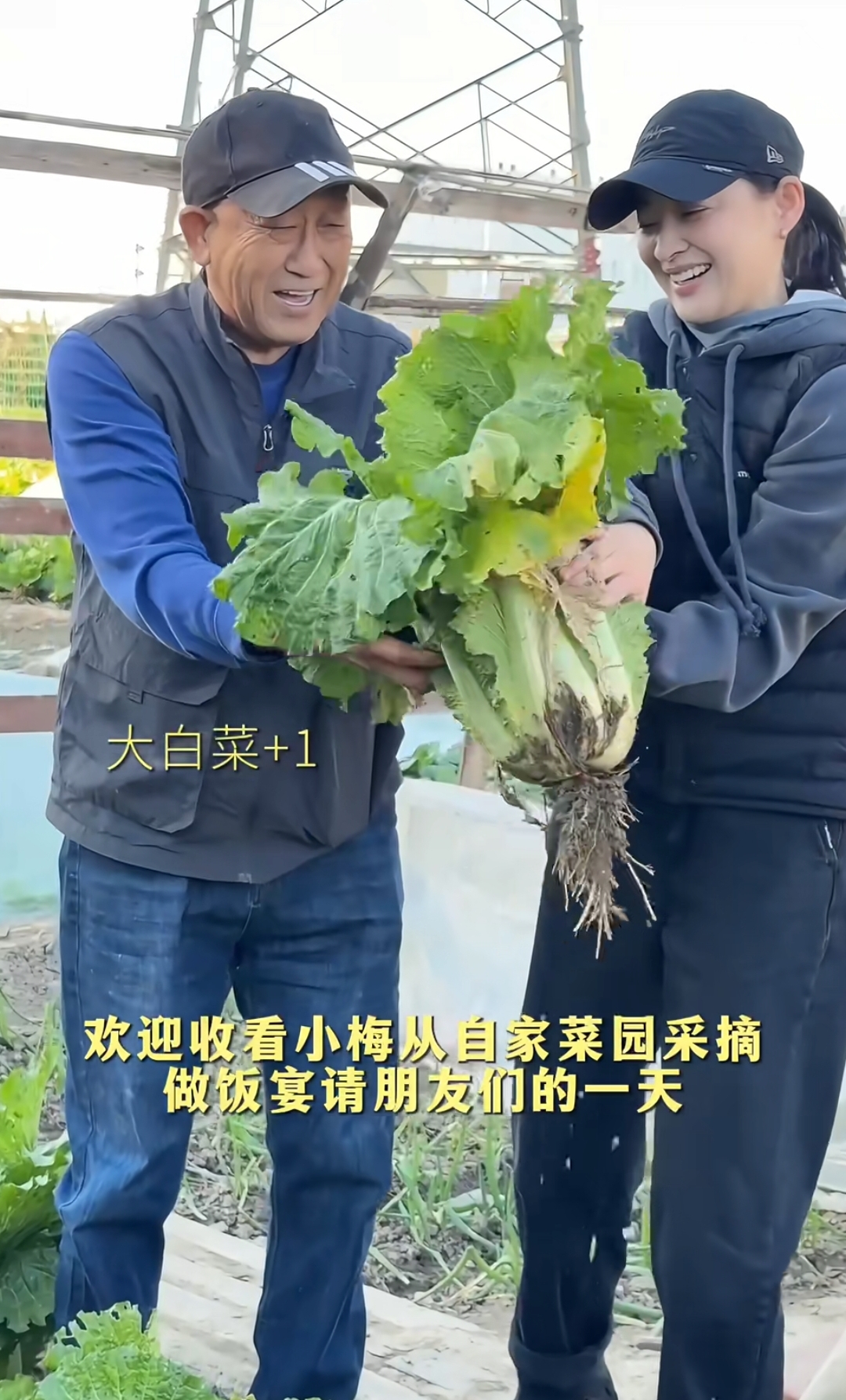 梅婷在家用农家菜宴客,公婆种菜不和他们同住,公公回应重男轻女