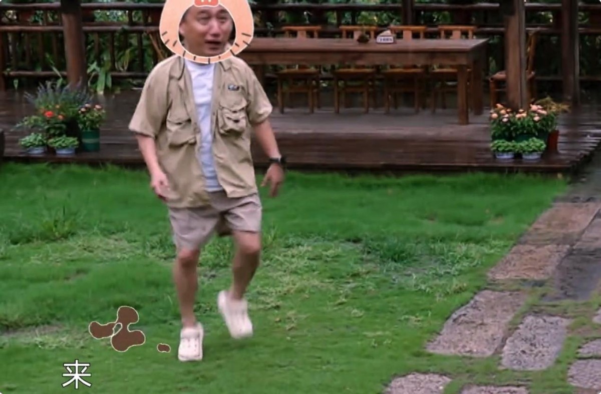 黄磊下厨了，何炅开捧了，《向往的生活8》对味儿了，观众开心了