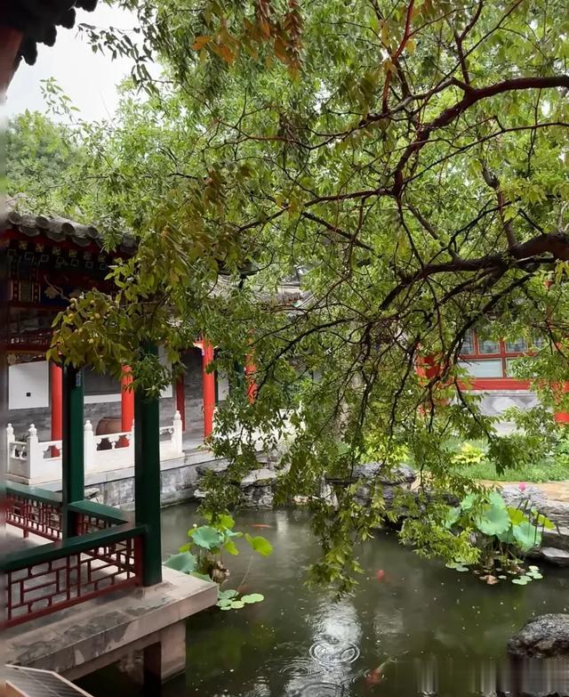 李湘晒北京四合院豪宅，足不出户实现小桥流水人家，真的太豪气了