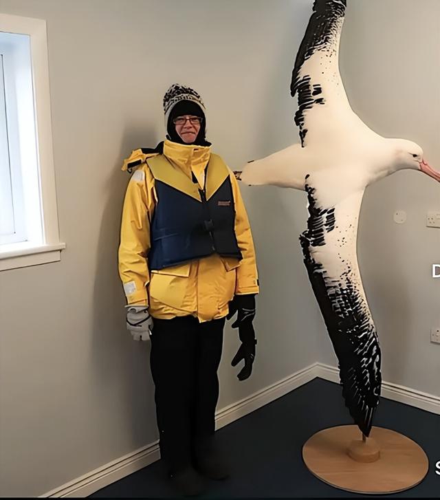 30张活久未见的照片:迈克尔杰克逊生前要演蝙蝠侠!定妆照都拍了