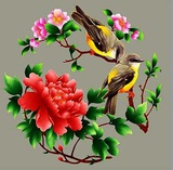 高泰笑说小姐姐