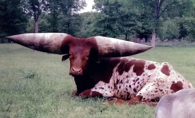 30张活久未见的照片:迈克尔杰克逊生前要演蝙蝠侠!定妆照都拍了