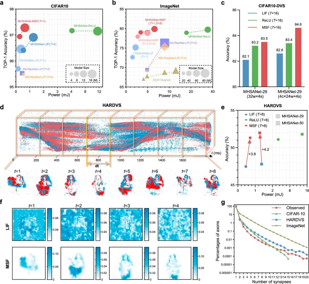 多突觸神經元模型問世，國內團隊打造類腦計算新引擎
