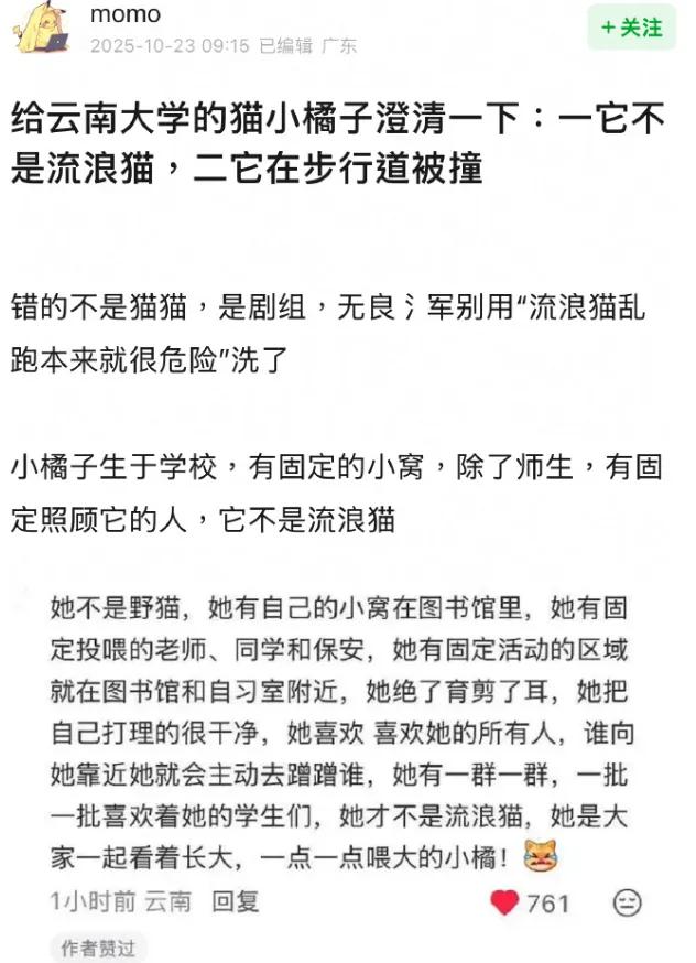 周也主演的《红舞鞋》还没拍完就被网友抵制了？！
