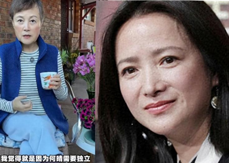 狐狸尾巴藏不住了！以为能“毁掉”何晴 不料自己先被扒个底朝天