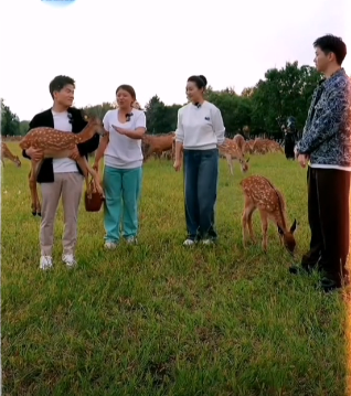 与辉同行黑龙江之行收官,宇辉14分钟总结封神,未访谈嘉宾成遗憾