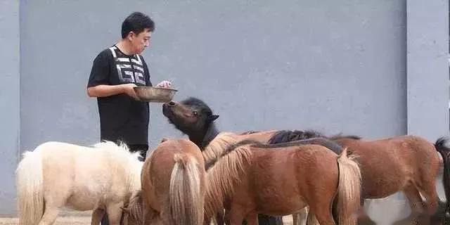 于谦财务爆雷仅2天，更多内情被扒，原来孙越吴京都没能脱身