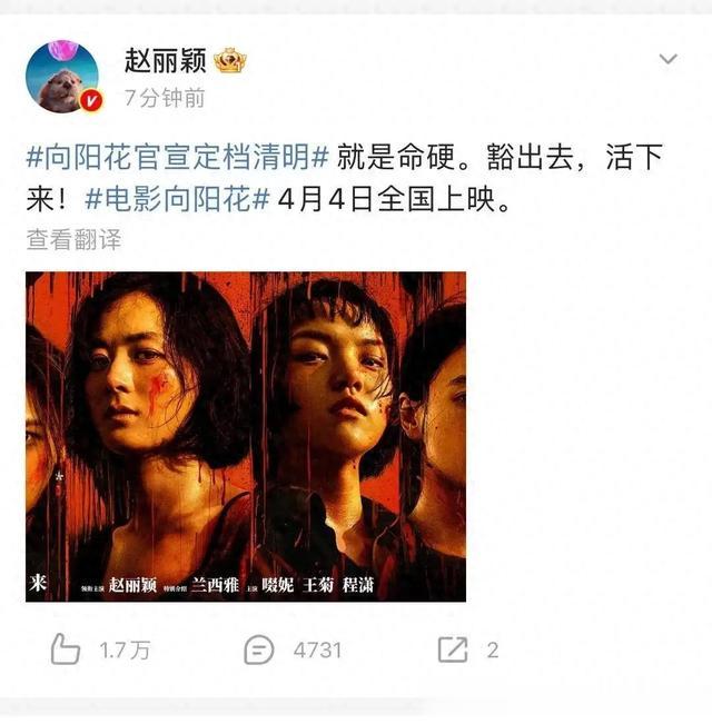 赵丽颖\最强男闺蜜\，陪她从籍籍无名走向顶流，赵氏孤儿从不孤单