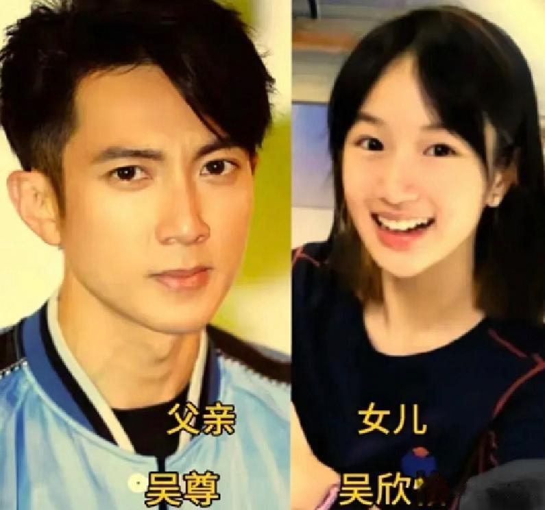 吴尊回应女儿neinei恋爱