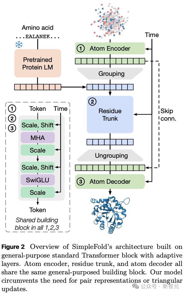 蘋果掀桌！扔掉AlphaFold核心模塊，開啟蛋白折疊生成式AI時代