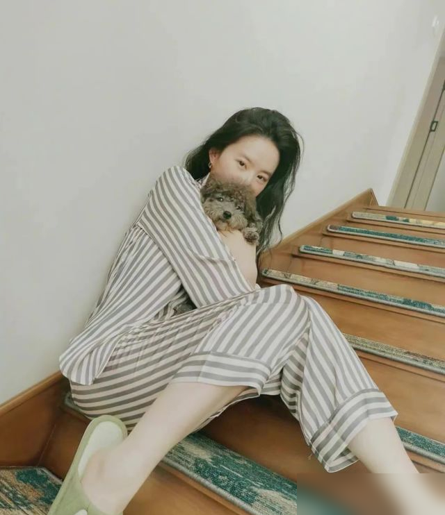 35岁刘亦菲豪宅火了？低调有品，猫狗相伴太治愈