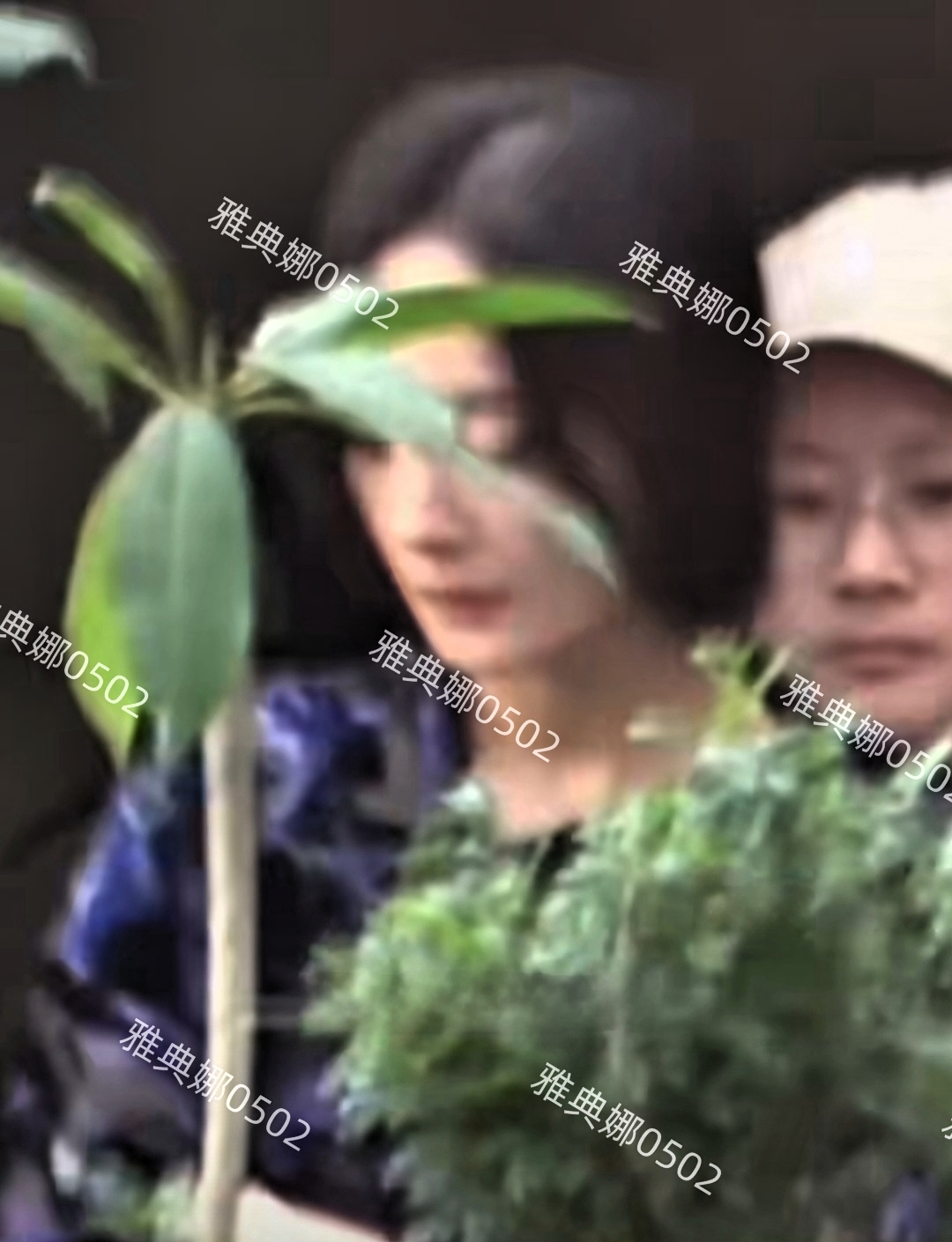 杨幂的演技被唱衰容貌也被嘲变老，但她生图很美竟然撞脸古力娜扎