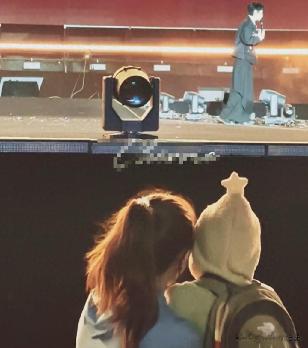 魏晨演唱会现场惊现温馨一幕!妻儿台下助阵,儿子身高成最大亮点