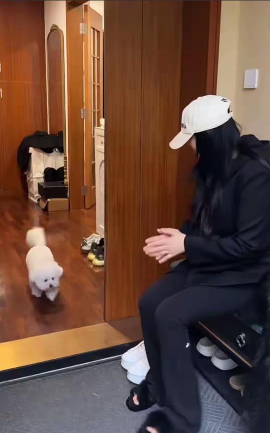 伊能静晒一家三口过圣诞！秦昊穿居家服坐沙发上不动窝，又脏又乱