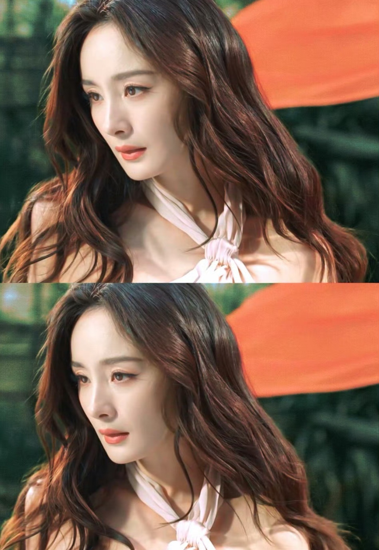 杨幂15年前博文爆火，“娱乐圈励志学”上线！