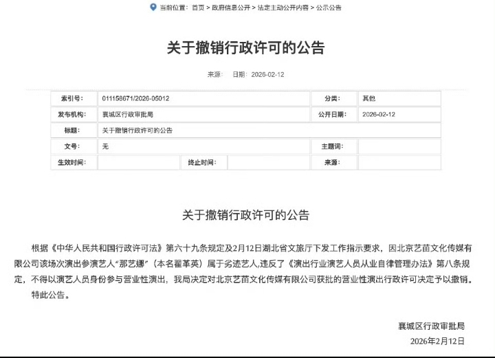 那艺娜为劣迹艺人！从“俄罗斯娜娜”到“爱如火”，经历了什么？